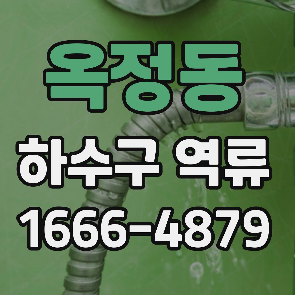 옥정동 하수구 역류
