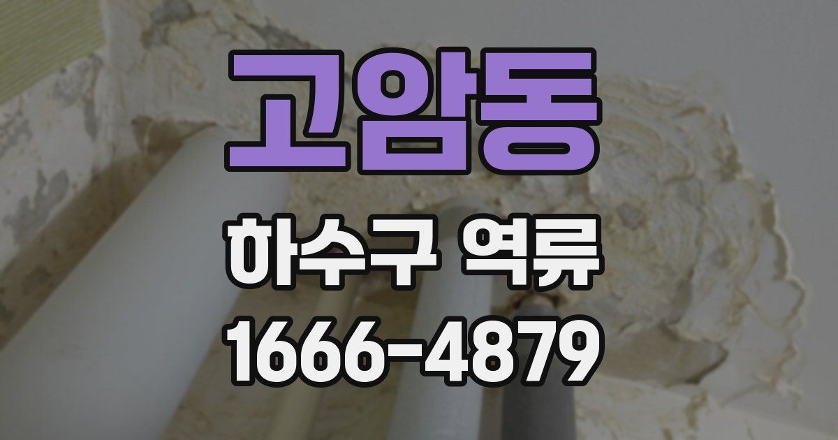 고암동 하수구 역류