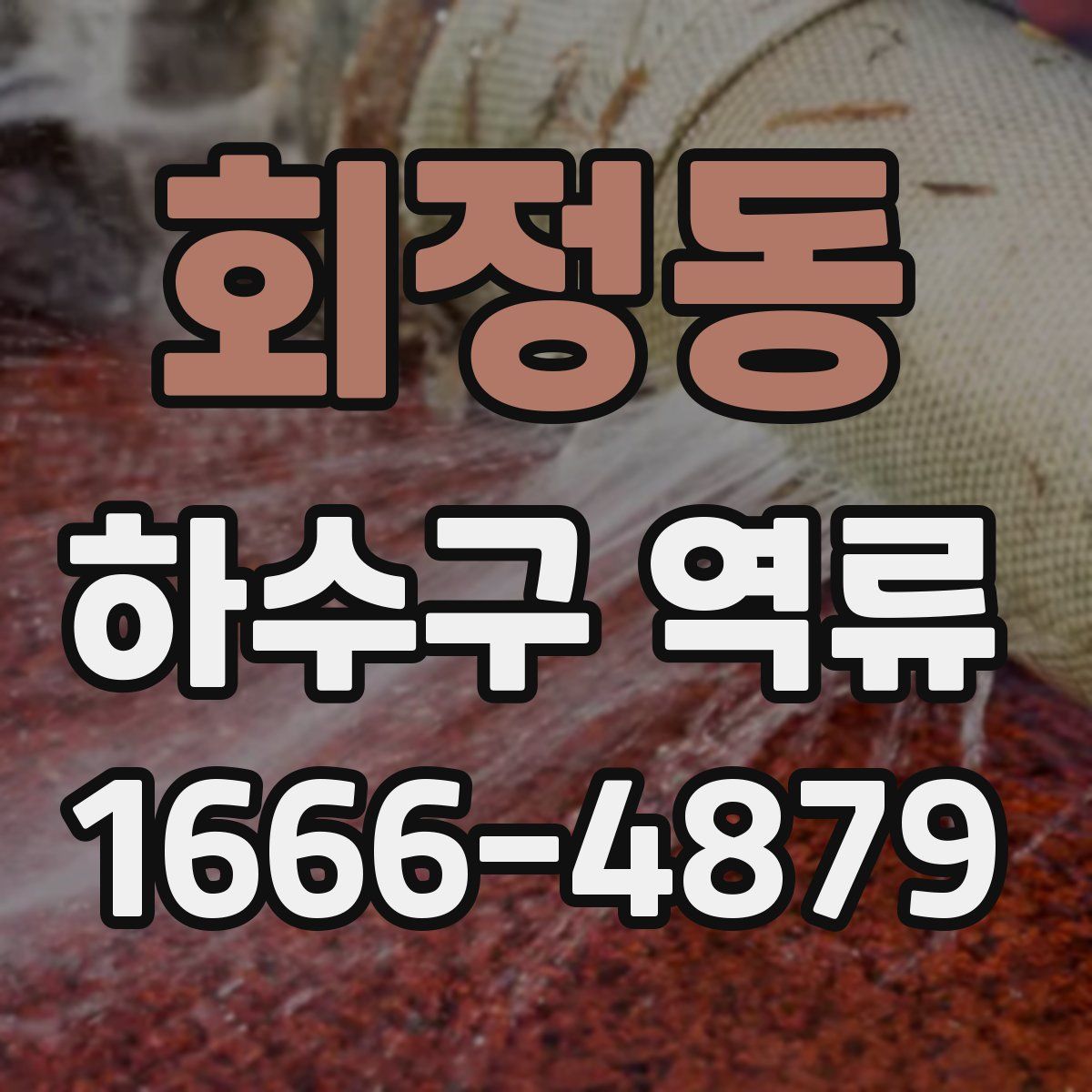 회정동 하수구 역류