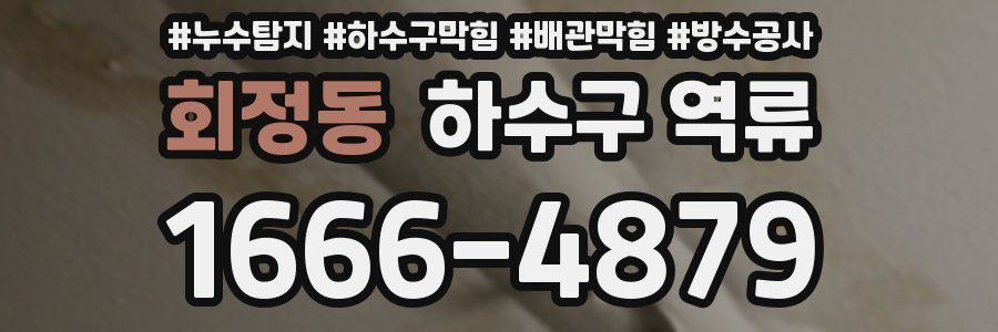 회정동 하수구 역류