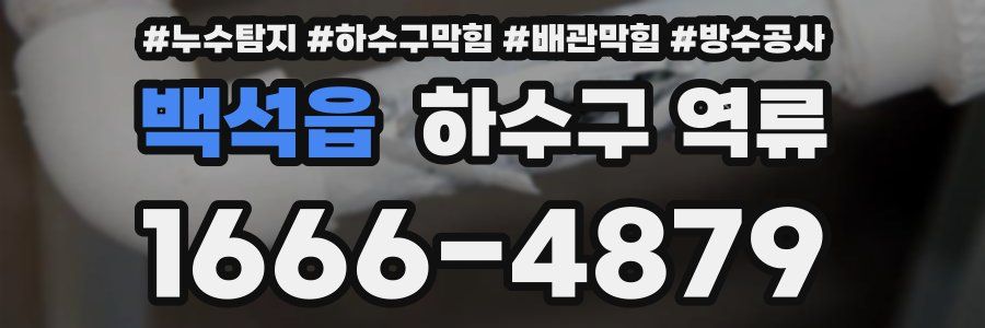 백석읍 하수구 역류