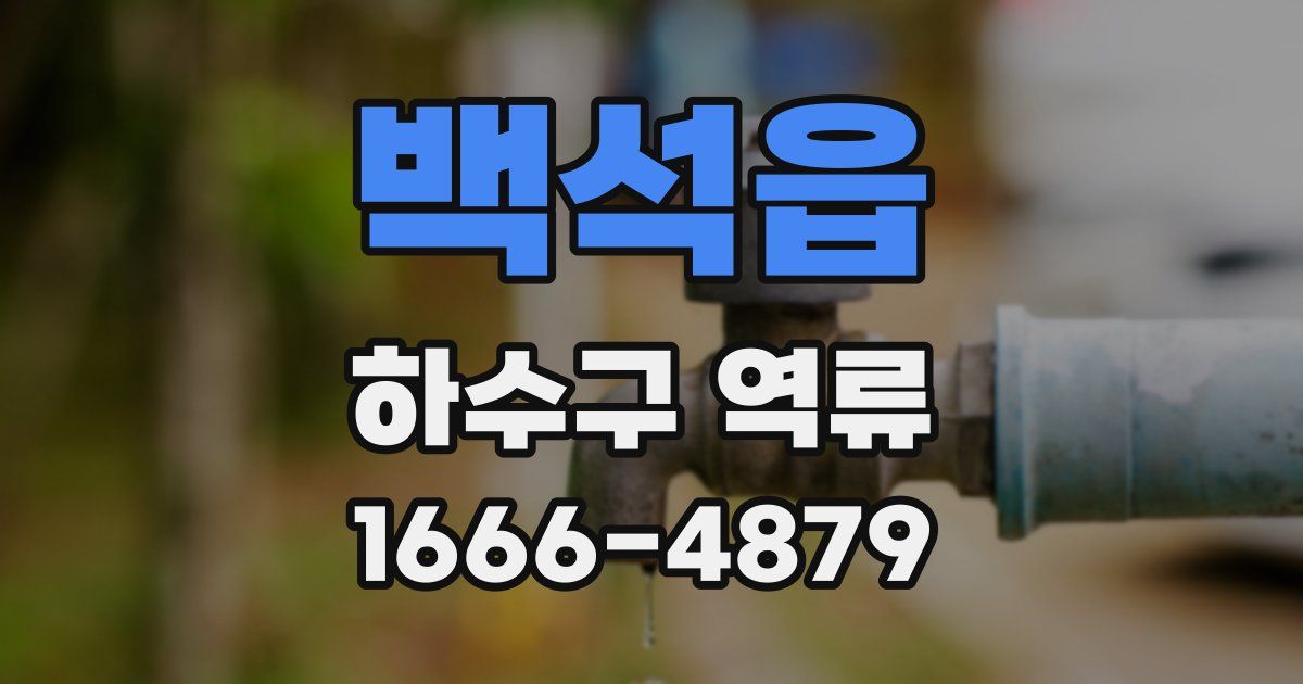 백석읍 하수구 역류