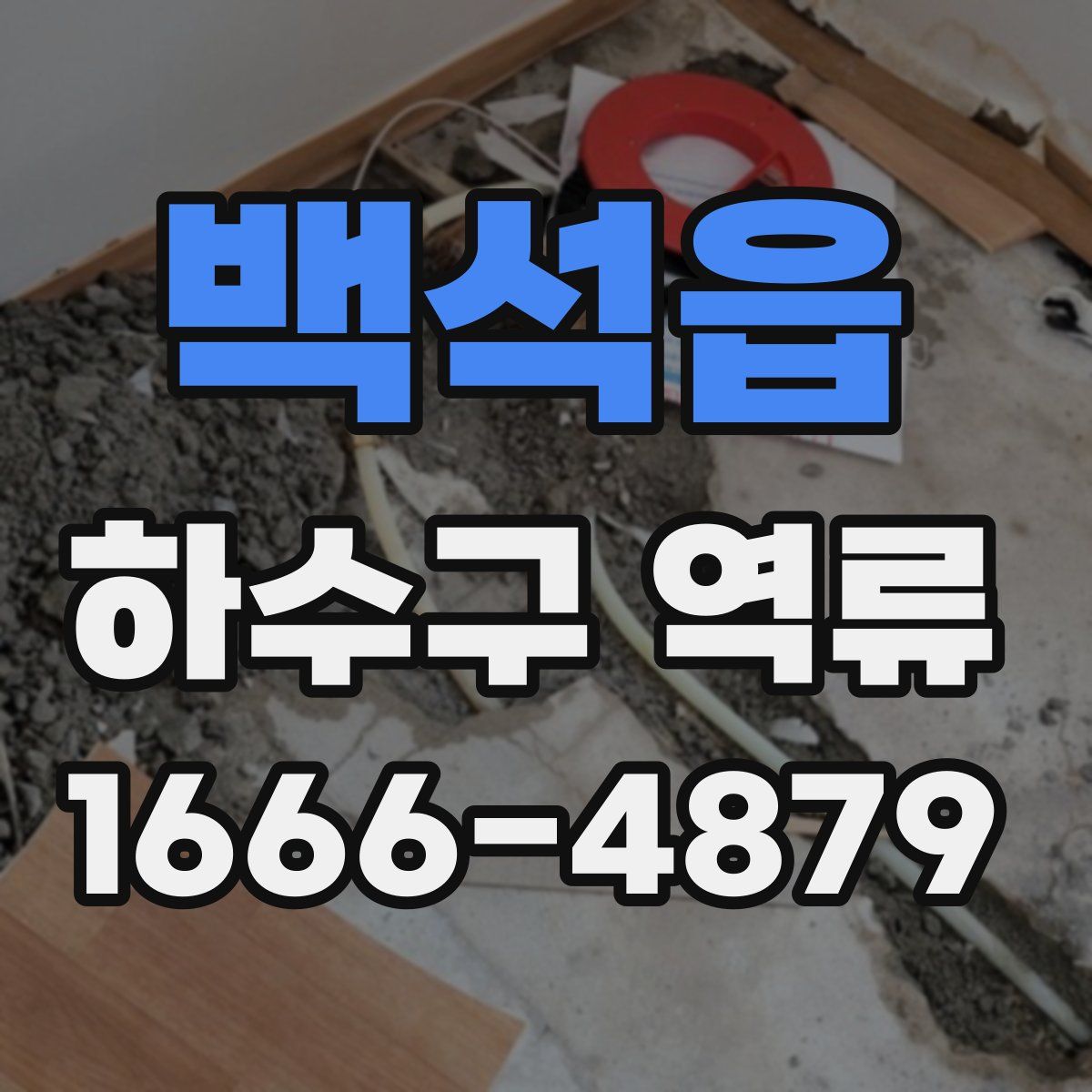 백석읍 하수구 역류