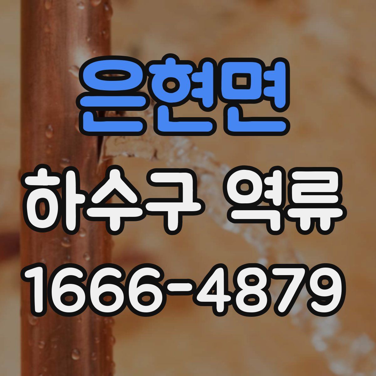 은현면 하수구 역류