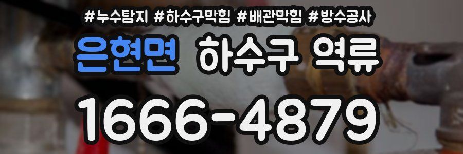 은현면 하수구 역류