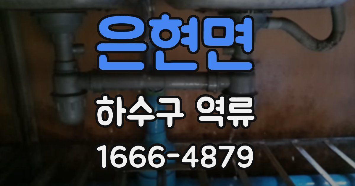 은현면 하수구 역류