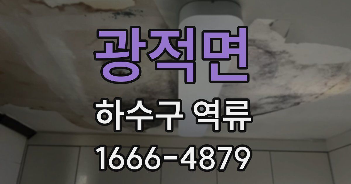 광적면 하수구 역류