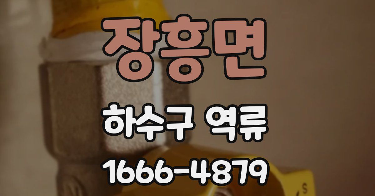 장흥면 하수구 역류