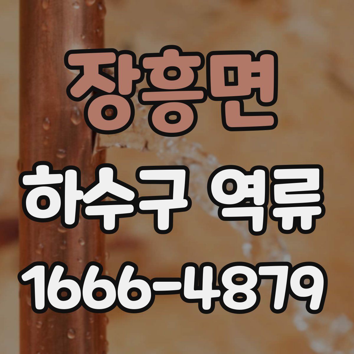 장흥면 하수구 역류