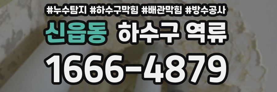 신읍동 하수구 역류