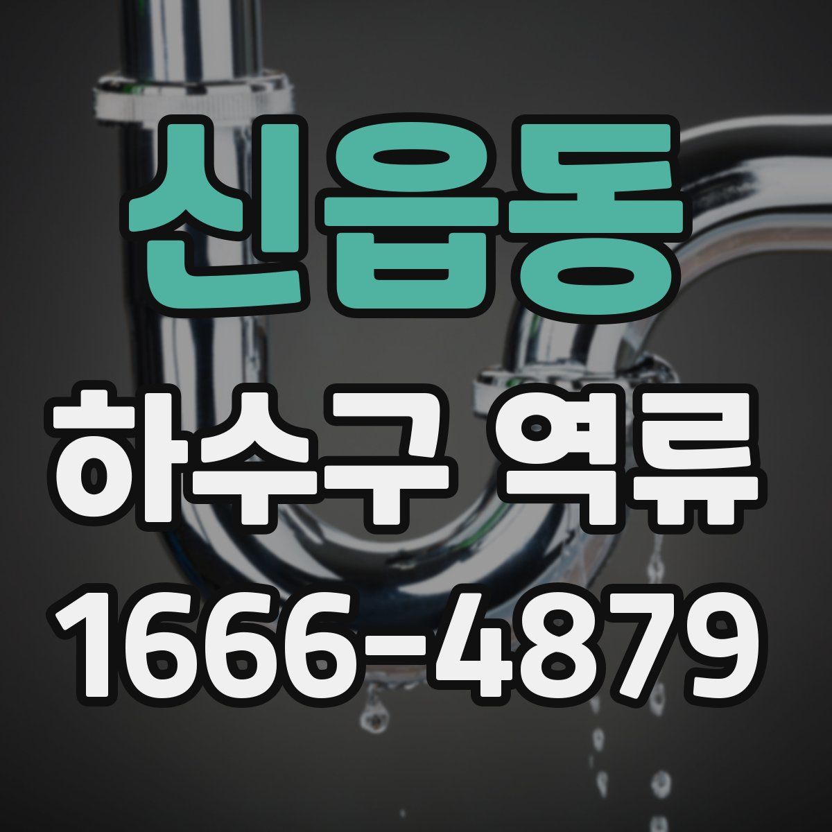 신읍동 하수구 역류