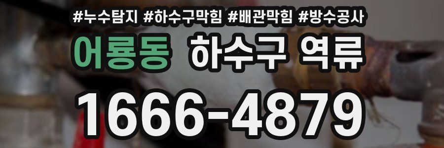 어룡동 하수구 역류