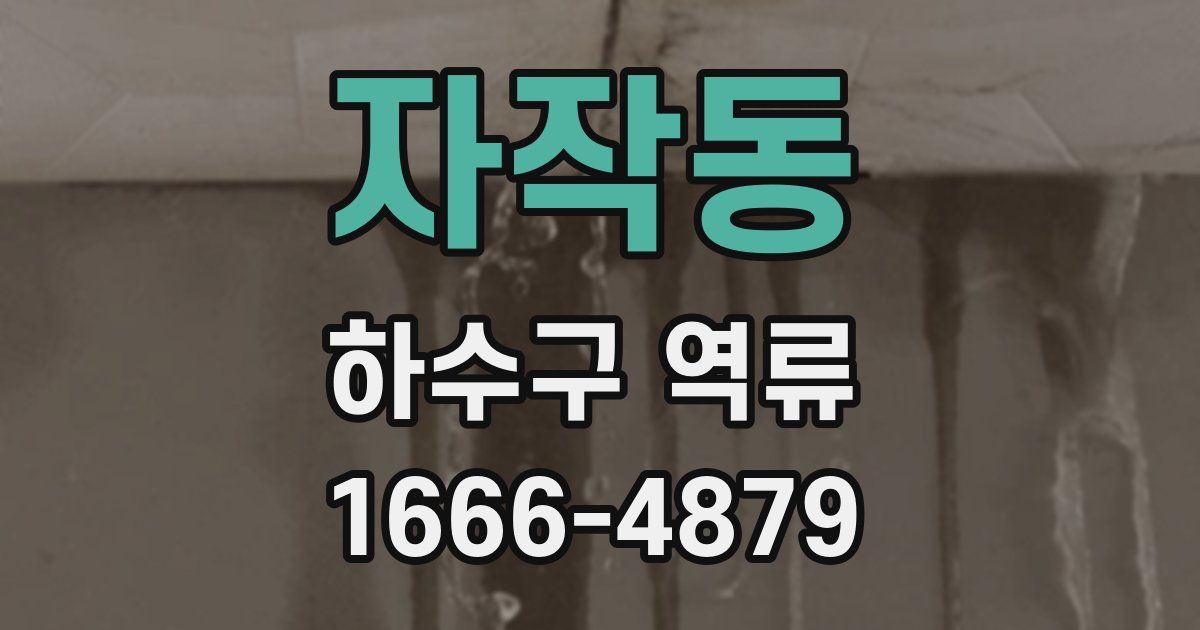 자작동 하수구 역류
