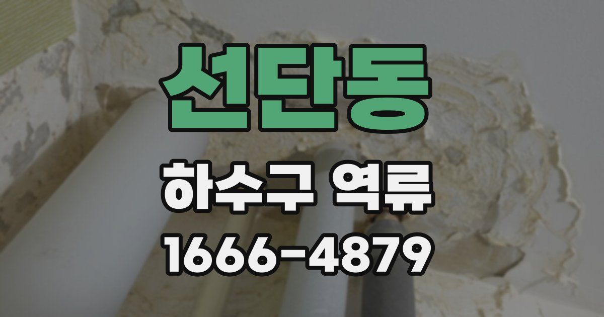 선단동 하수구 역류