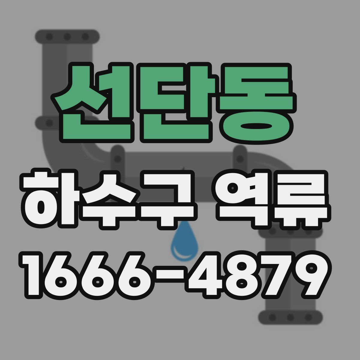 선단동 하수구 역류