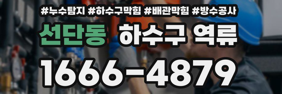 선단동 하수구 역류