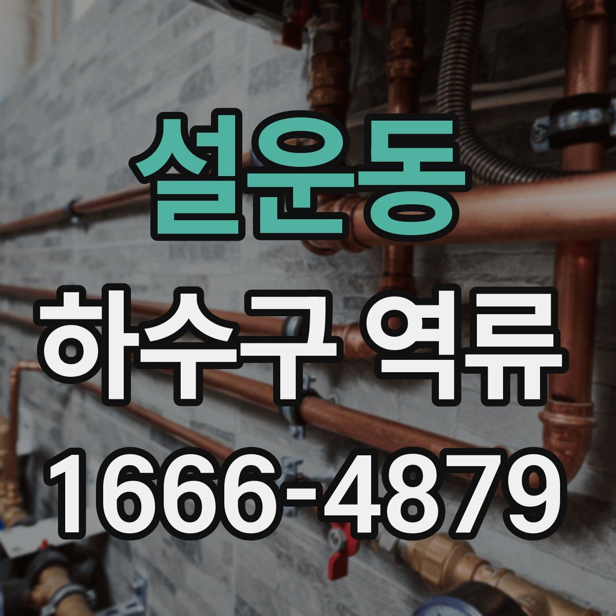 설운동 하수구 역류