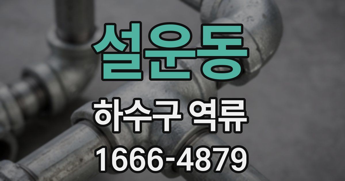 설운동 하수구 역류
