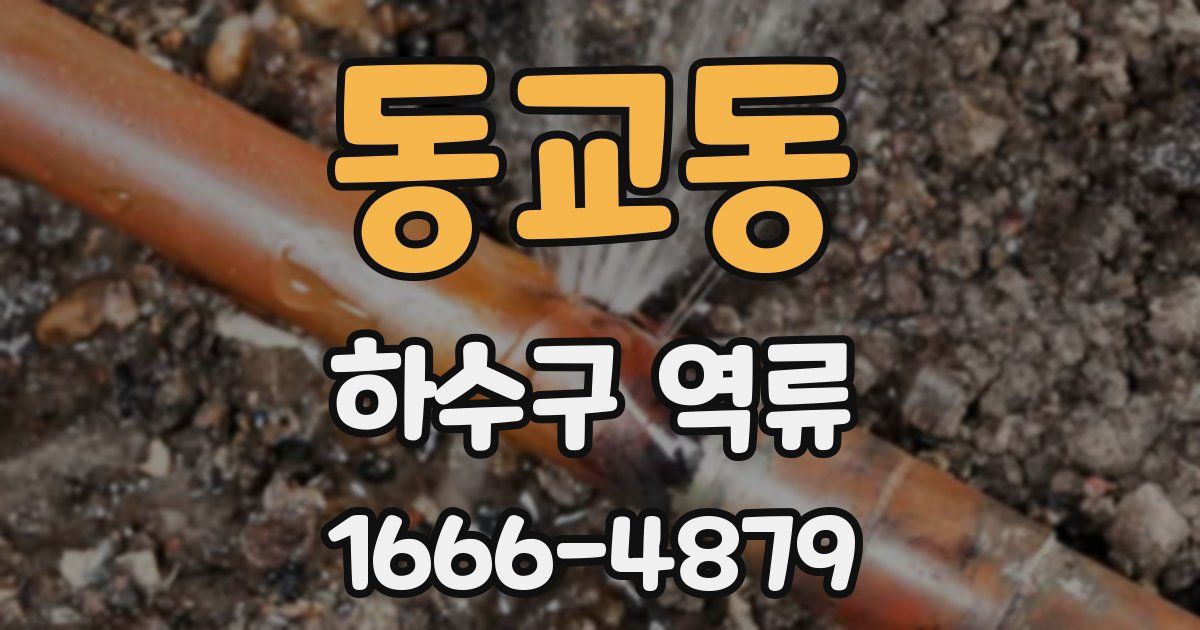 동교동 하수구 역류