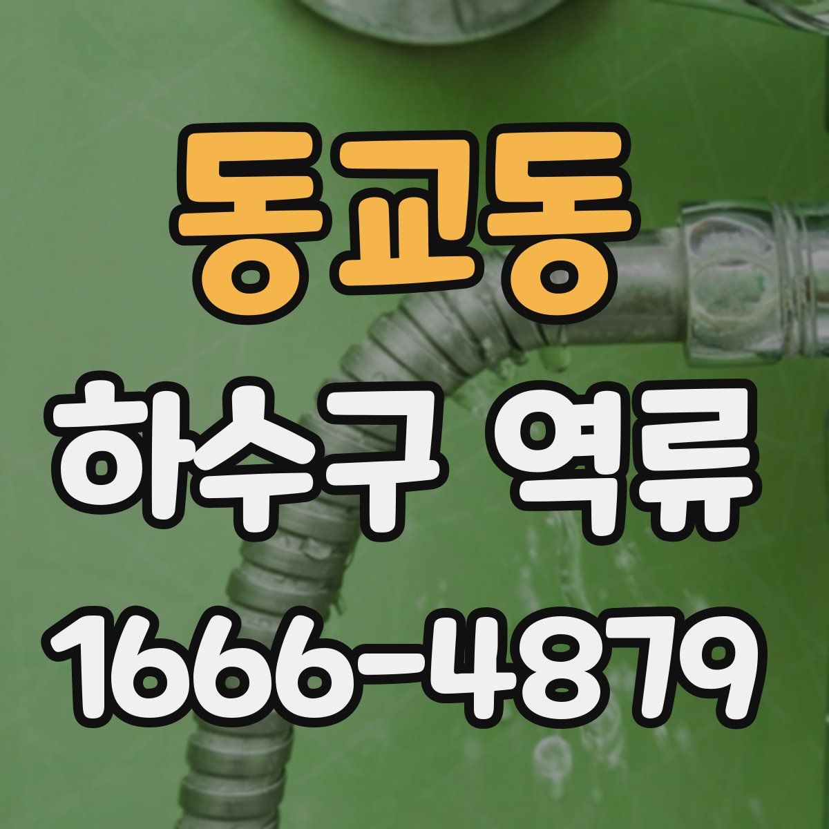 동교동 하수구 역류