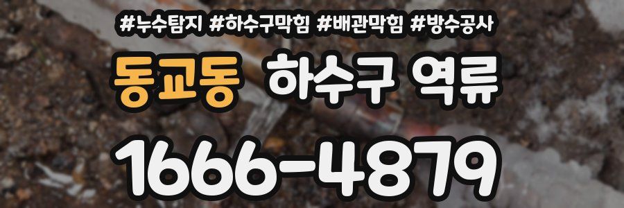 동교동 하수구 역류