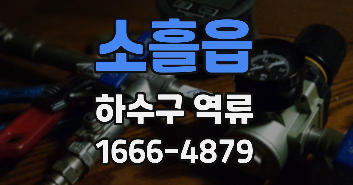 소흘읍 하수구 역류