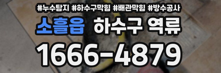 소흘읍 하수구 역류