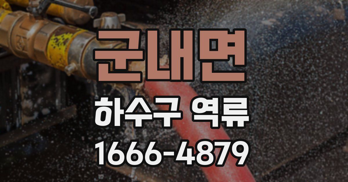 군내면 하수구 역류