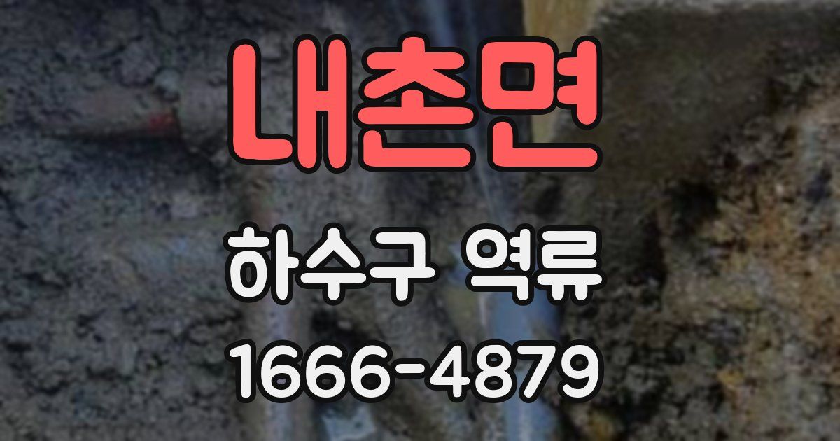 내촌면 하수구 역류