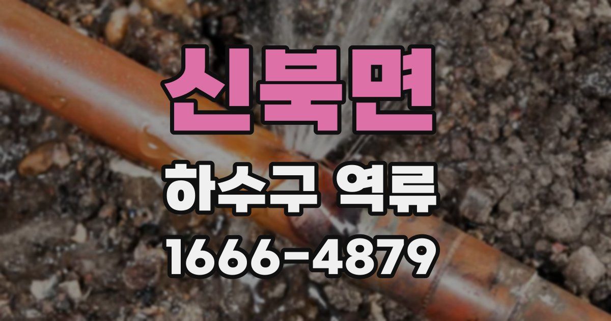 신북면 하수구 역류