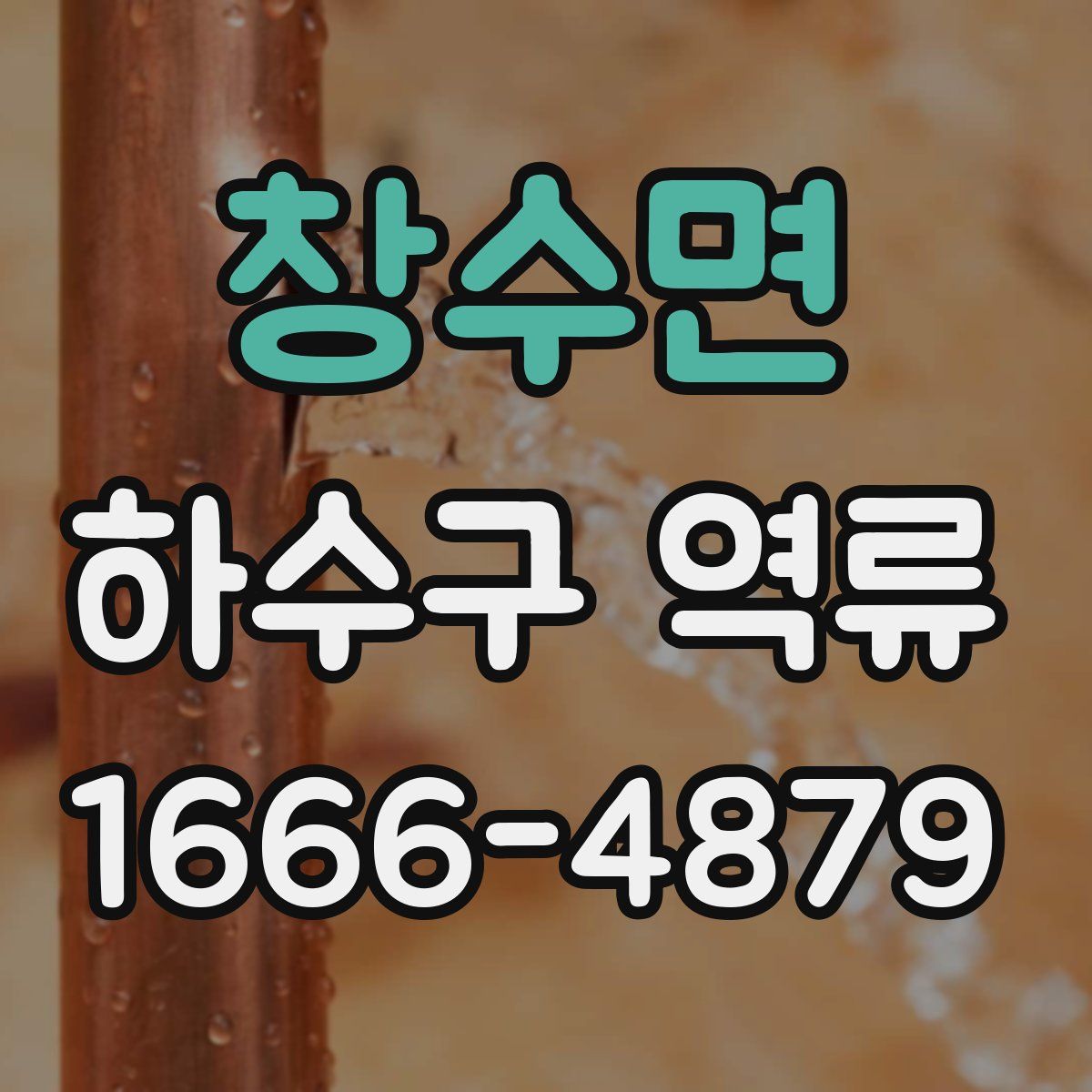 창수면 하수구 역류