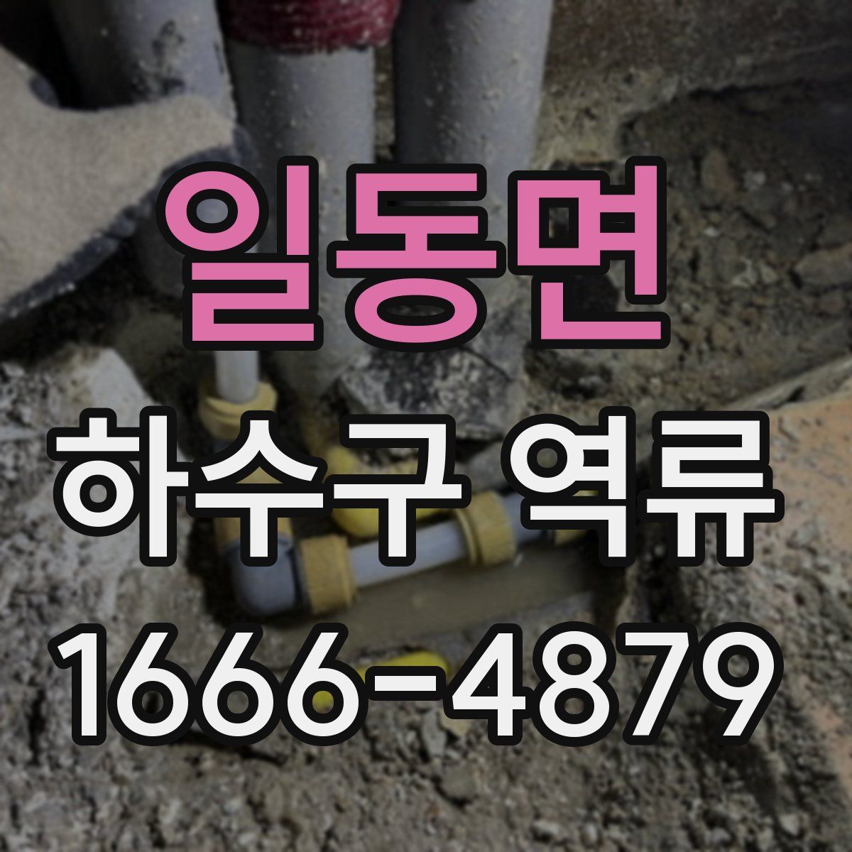 일동면 하수구 역류