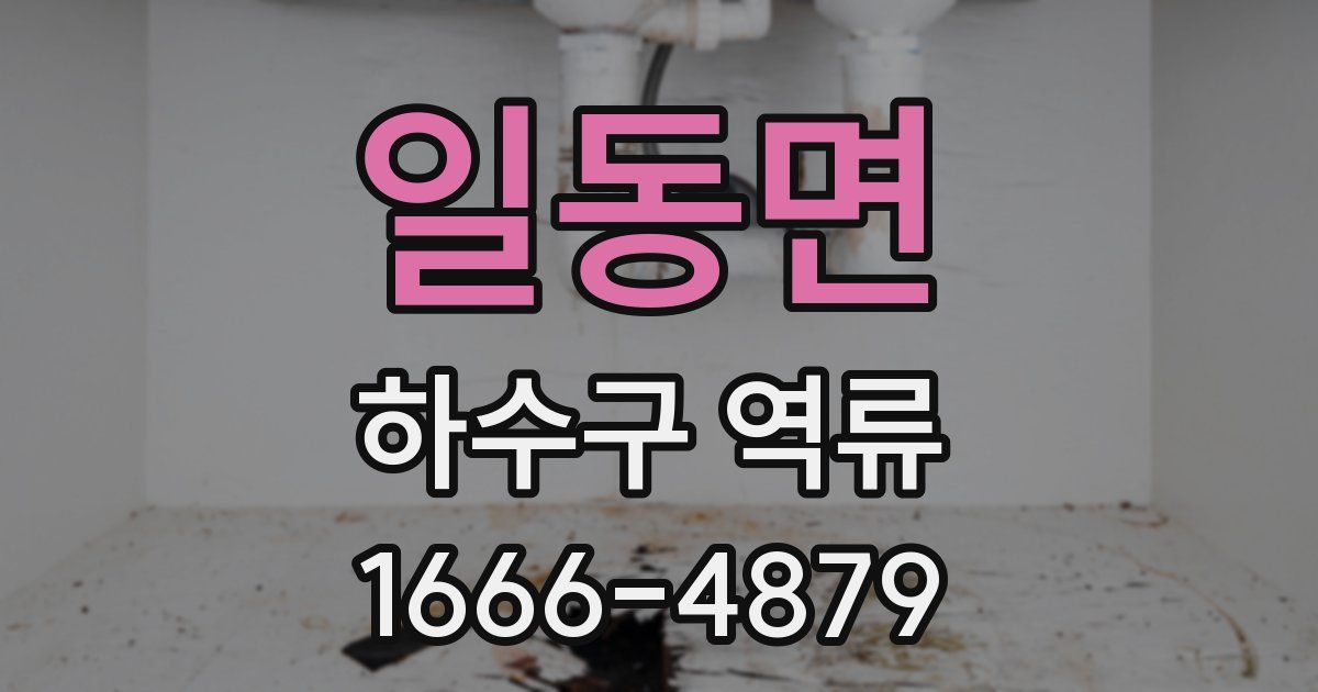 일동면 하수구 역류
