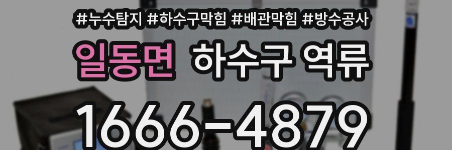 일동면 하수구 역류