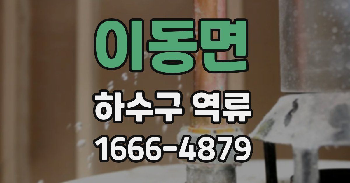 이동면 하수구 역류