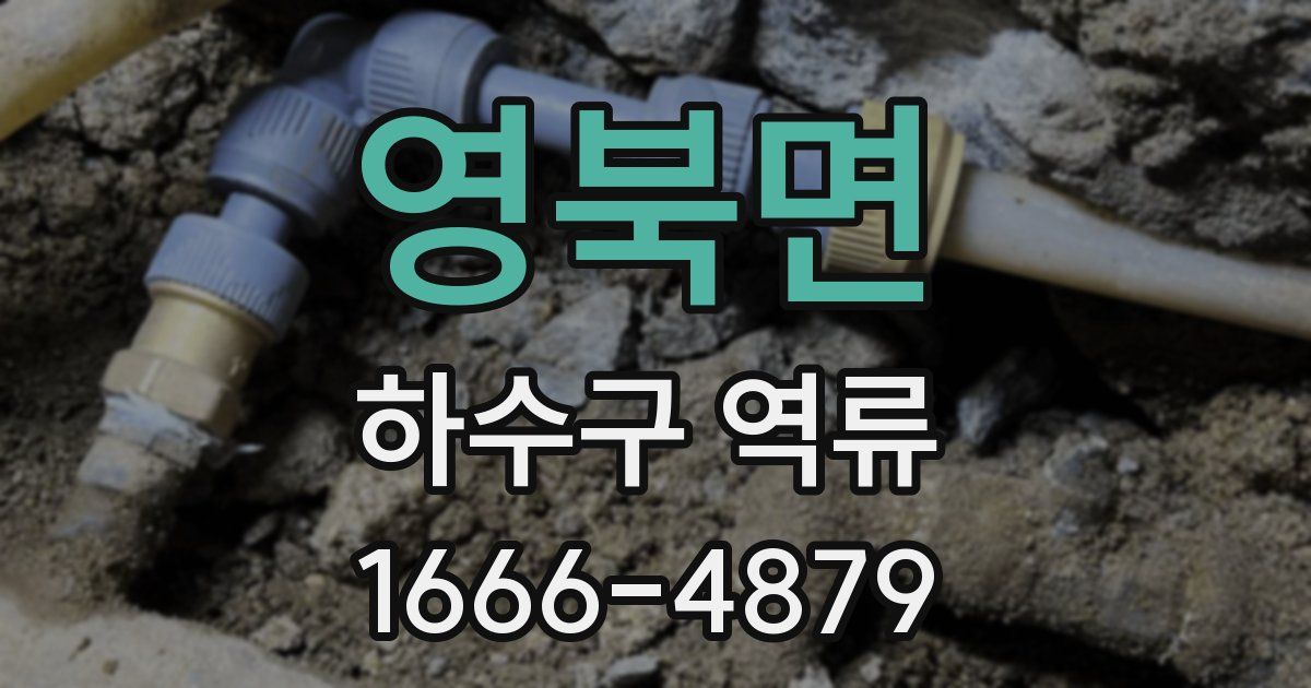 영북면 하수구 역류