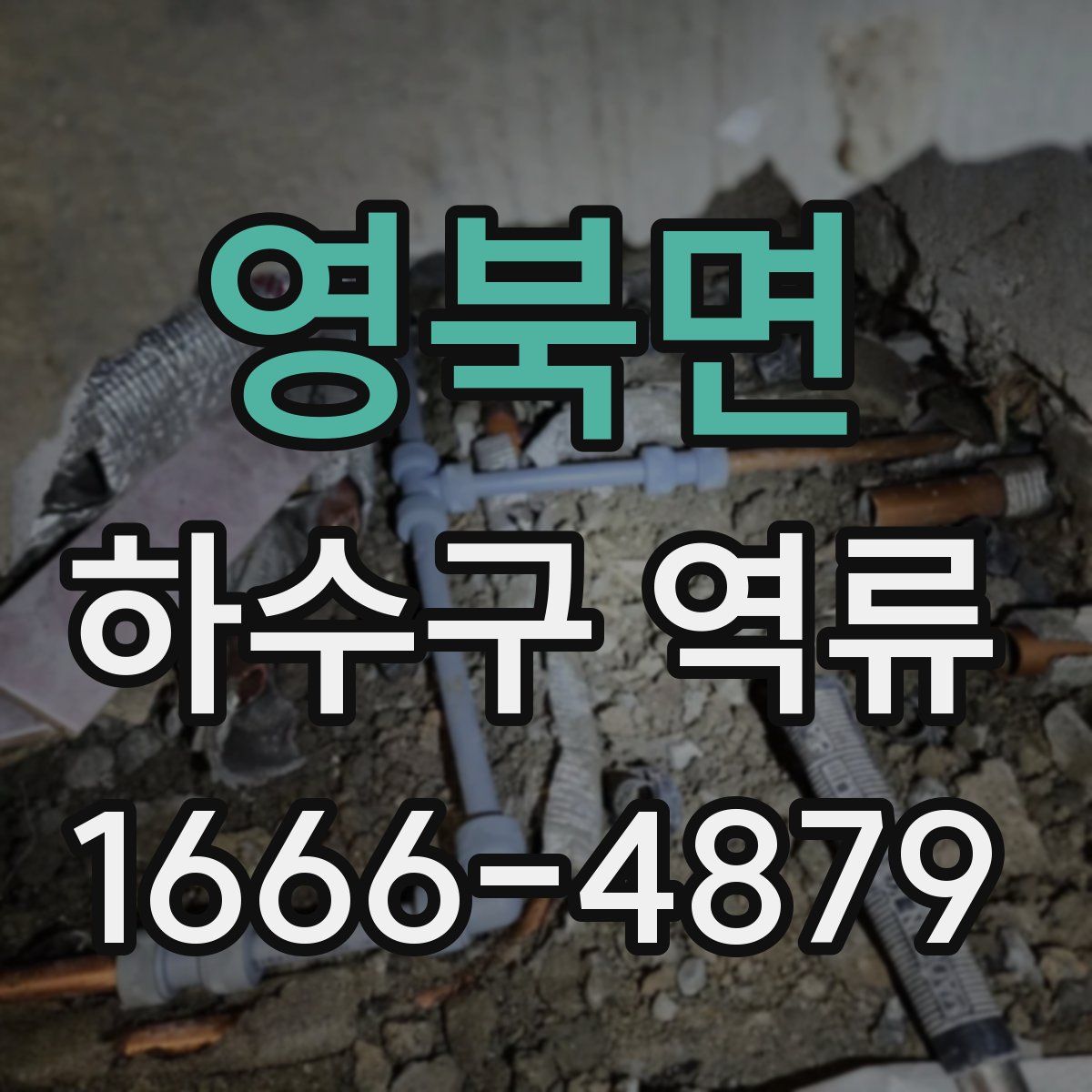 영북면 하수구 역류