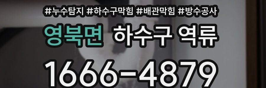 영북면 하수구 역류