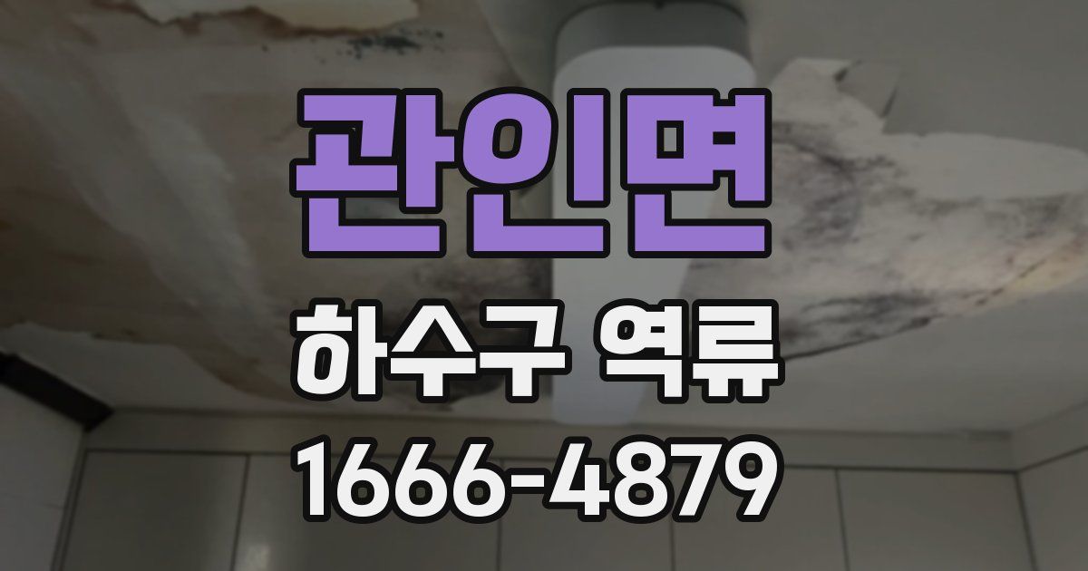 관인면 하수구 역류