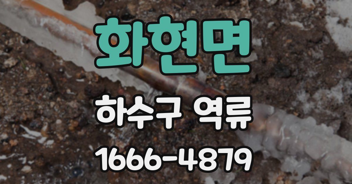 화현면 하수구 역류