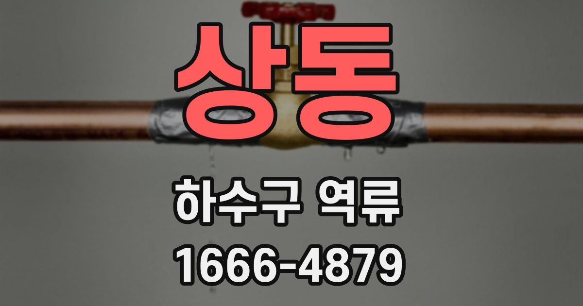 상동 하수구 역류