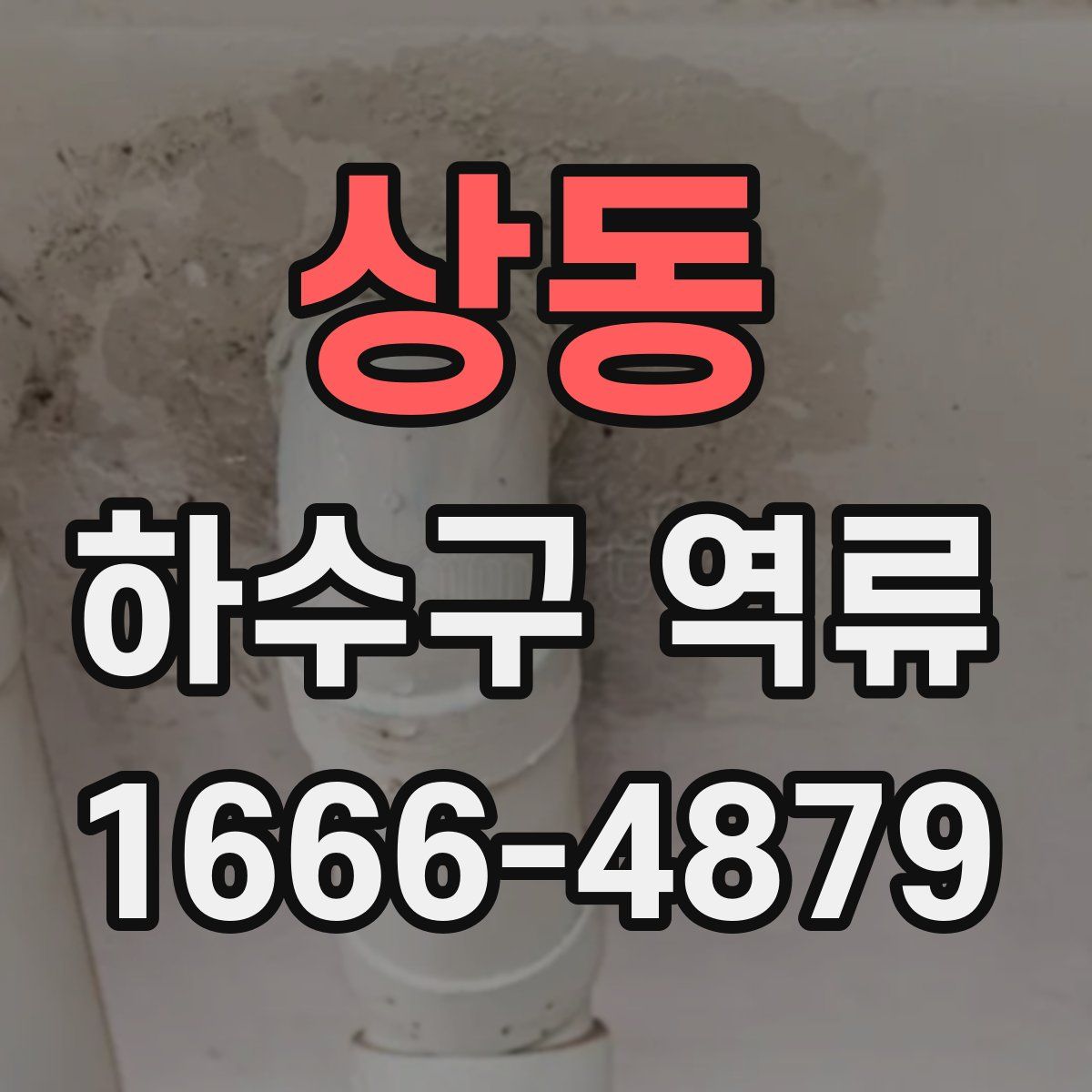 상동 하수구 역류