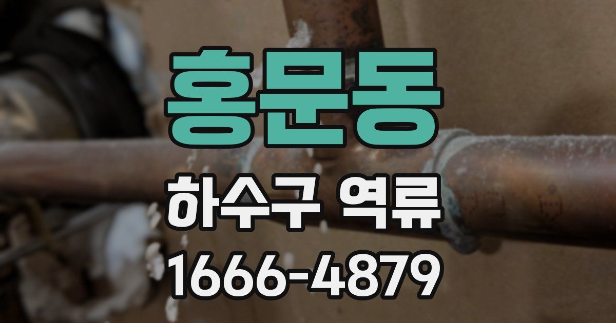 홍문동 하수구 역류