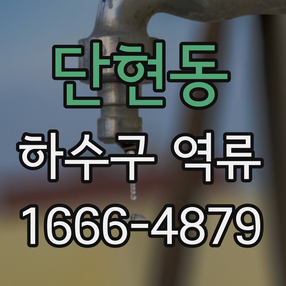 단현동 하수구 역류