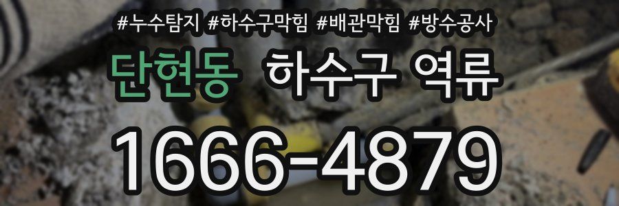 단현동 하수구 역류