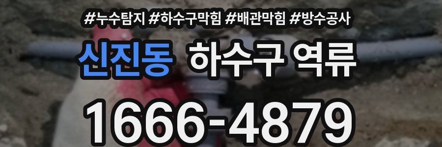 신진동 하수구 역류