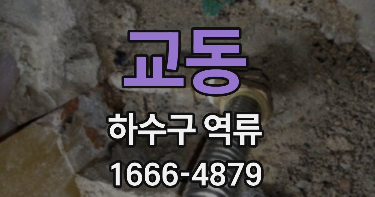 교동 하수구 역류