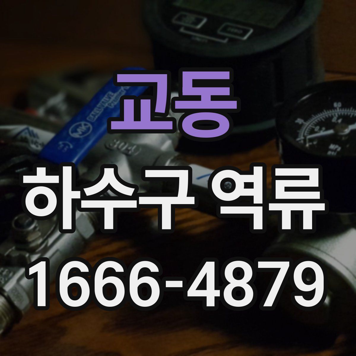 교동 하수구 역류