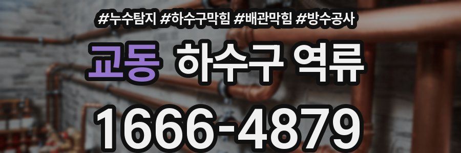 교동 하수구 역류