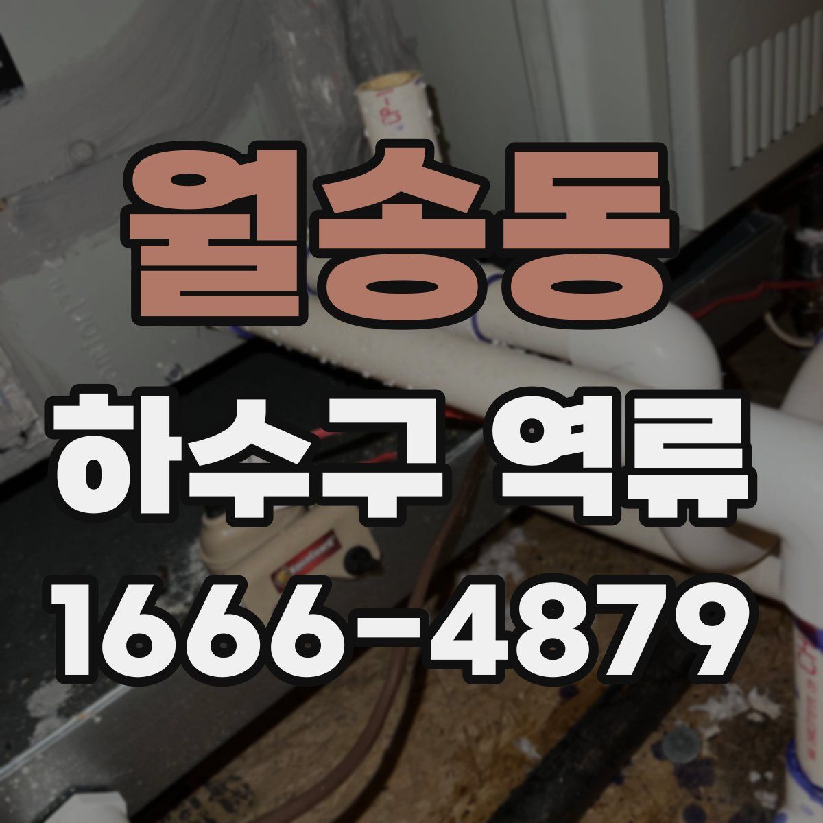 월송동 하수구 역류